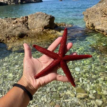 Appartamento Barone Castellammare del Golfo Exteriör bild