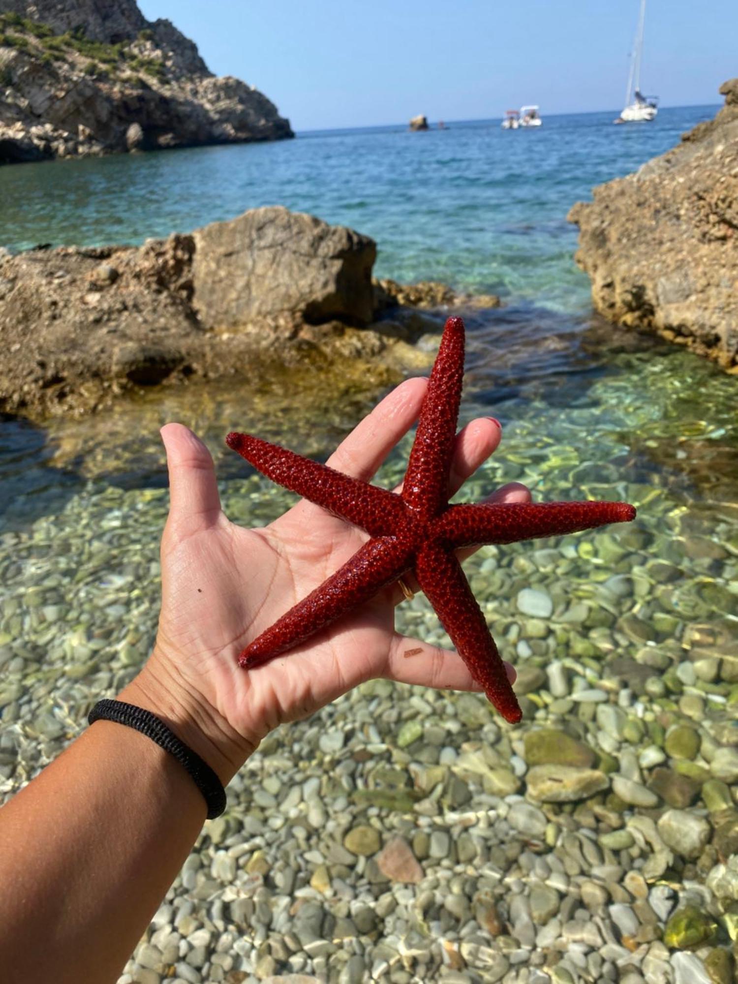 Appartamento Barone Castellammare del Golfo Exteriör bild